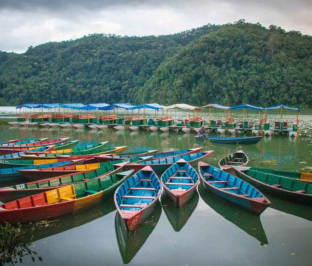 Chitwan- Lumbini – Pokhara Tour