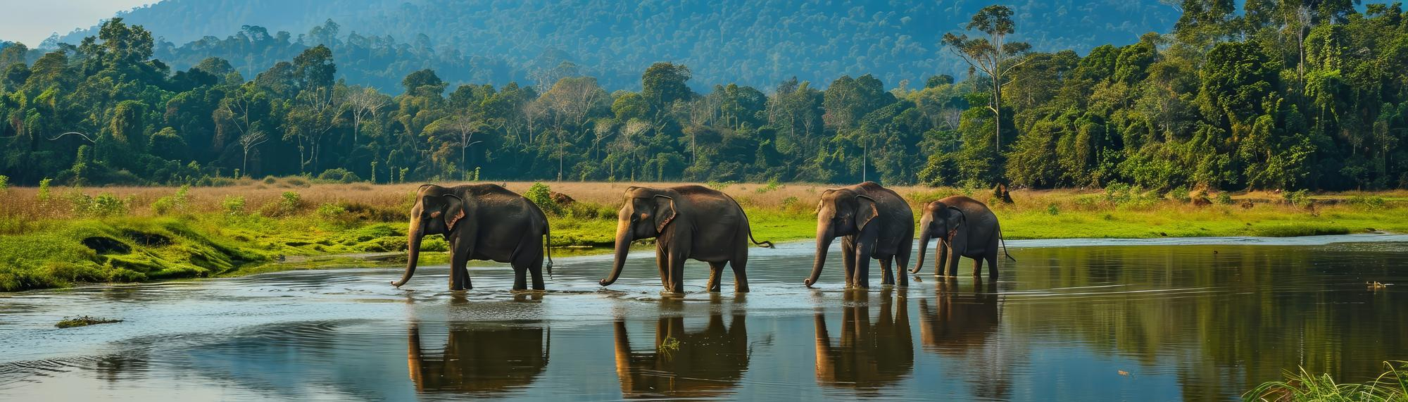 Kathmandu to Chitwan Tourist Bus Service